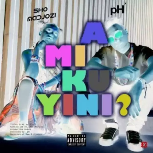 pH - A Mi Ku Yini (What Are They Sayin?) Ft. Sho Madjozi